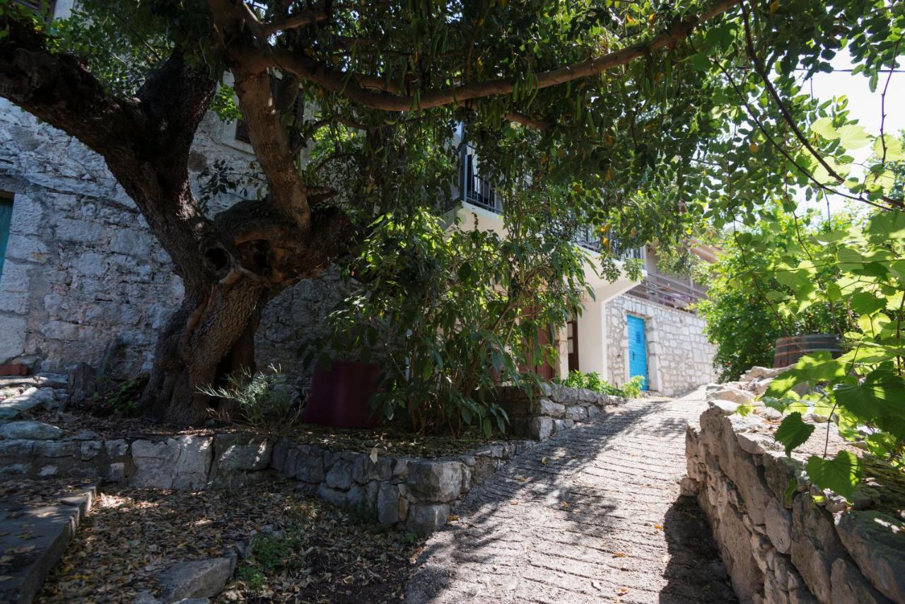 Guesthouse Pavla Goveđari Buitenkant foto